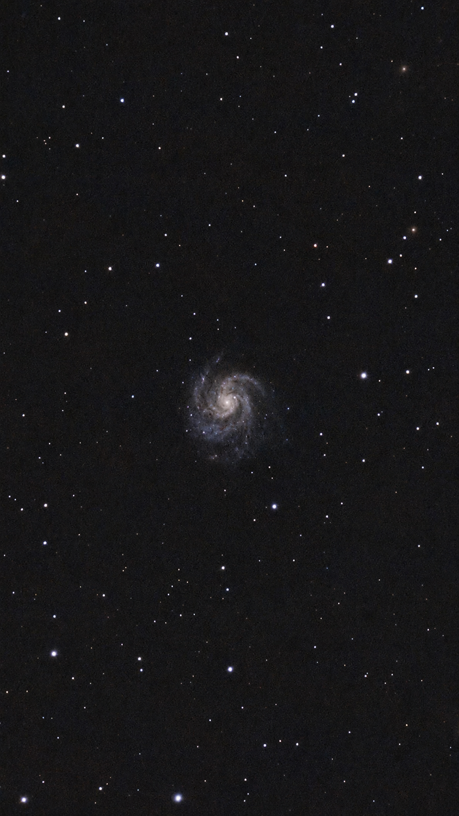 The Pinwheel Galaxy after further enhancement